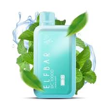 ELFBAR BC 10000 SE MIAMI MINT